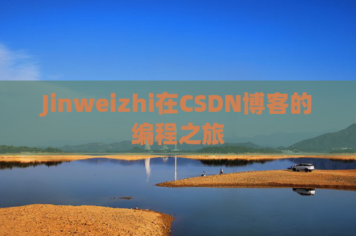 Jinweizhi在CSDN博客的编程之旅